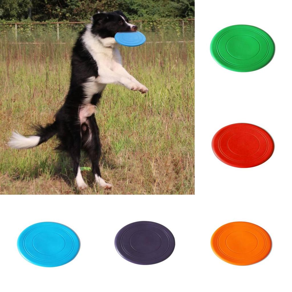 High-quality Pet Toy Round Tpr Frisbee For Training And Play Disc For Dogs