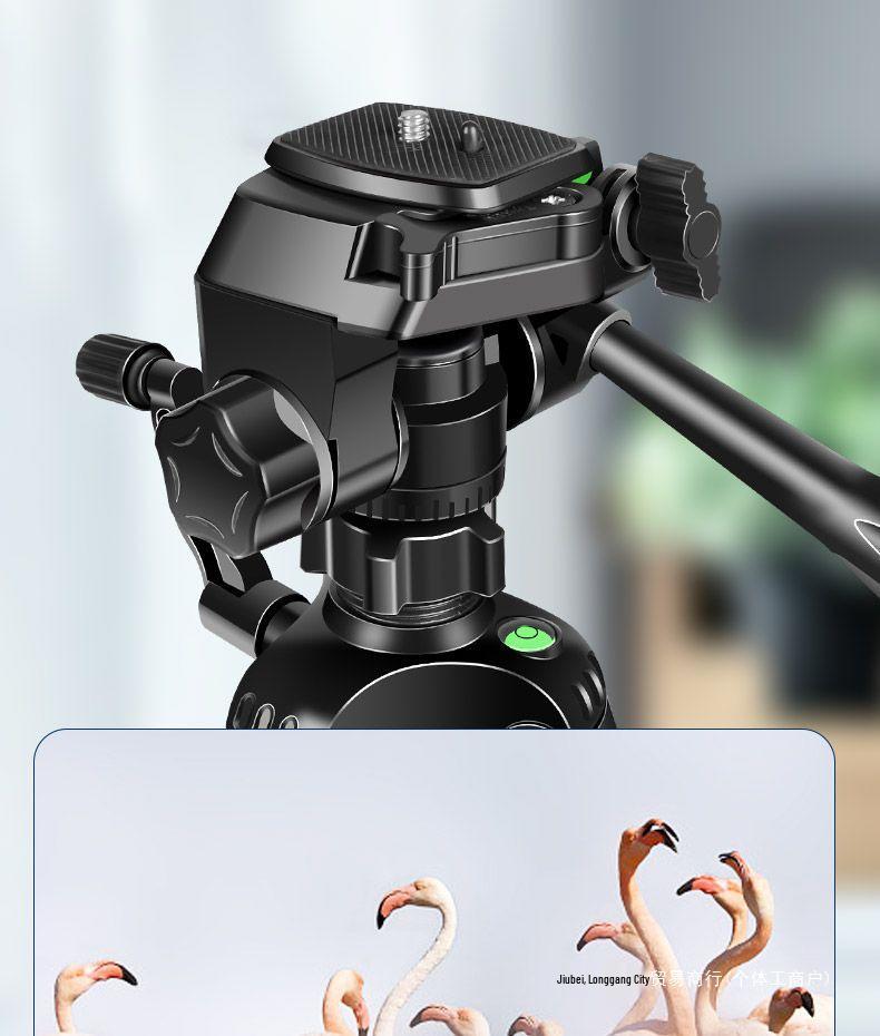 Multi-Angle Floor Stand with Dual Phone Clips for Live Streaming and Outdoor Use