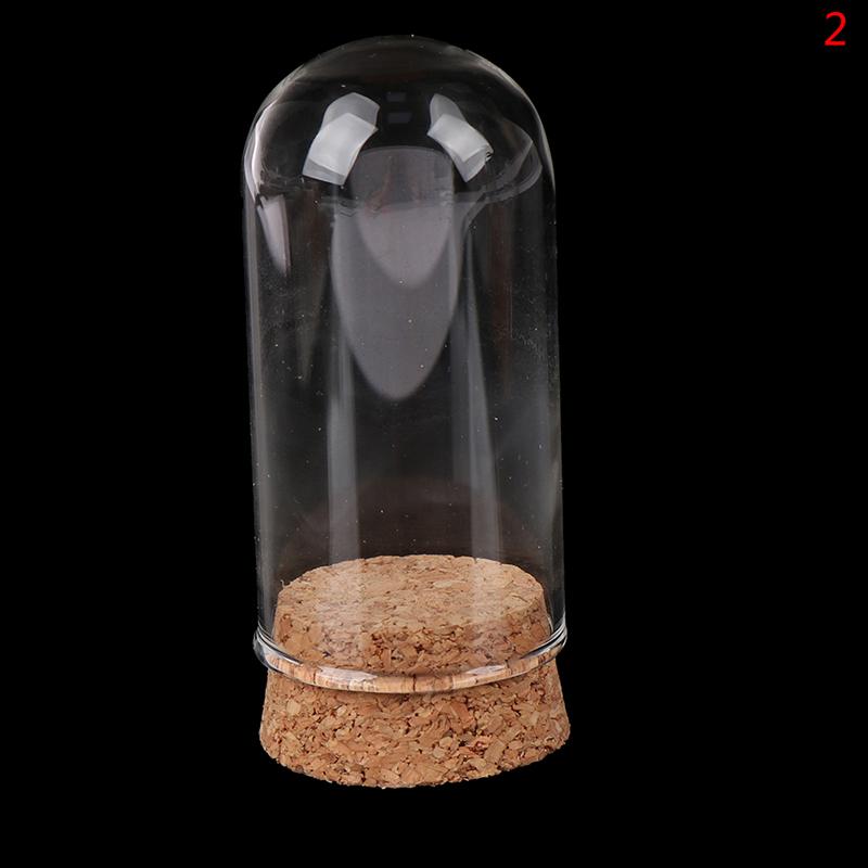 1/6 Doll Glass Dome Display Wood Cork Bell Jar With Wooden Base Decoation Craft