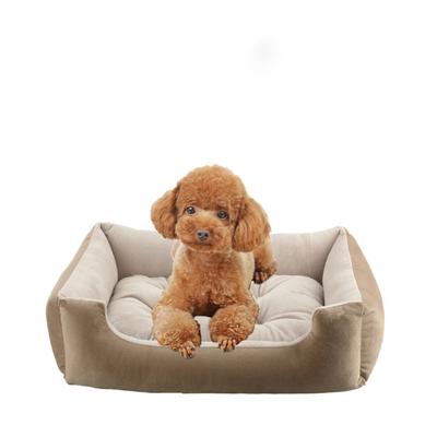 Productos para mascotas – Muebles para mascotas