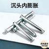 Galvanized Carbon Steel Countersunk Head Cross Drive Expansion Screws