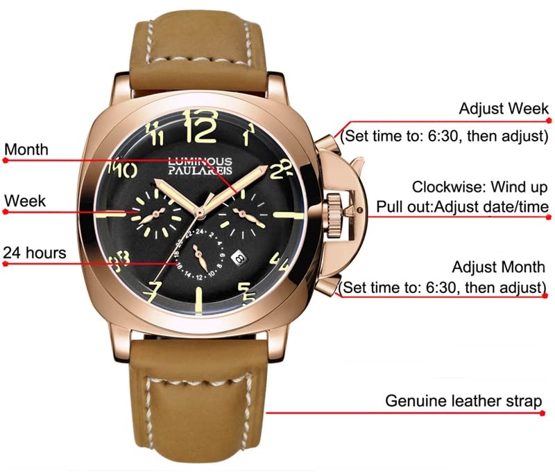 PAULAREIS Automatic Luminor Chronograph Full 10 ATM Water Dress Stainless Leather Coming of Age Gift Men's Watch, Movement, Calendar, Diver's,