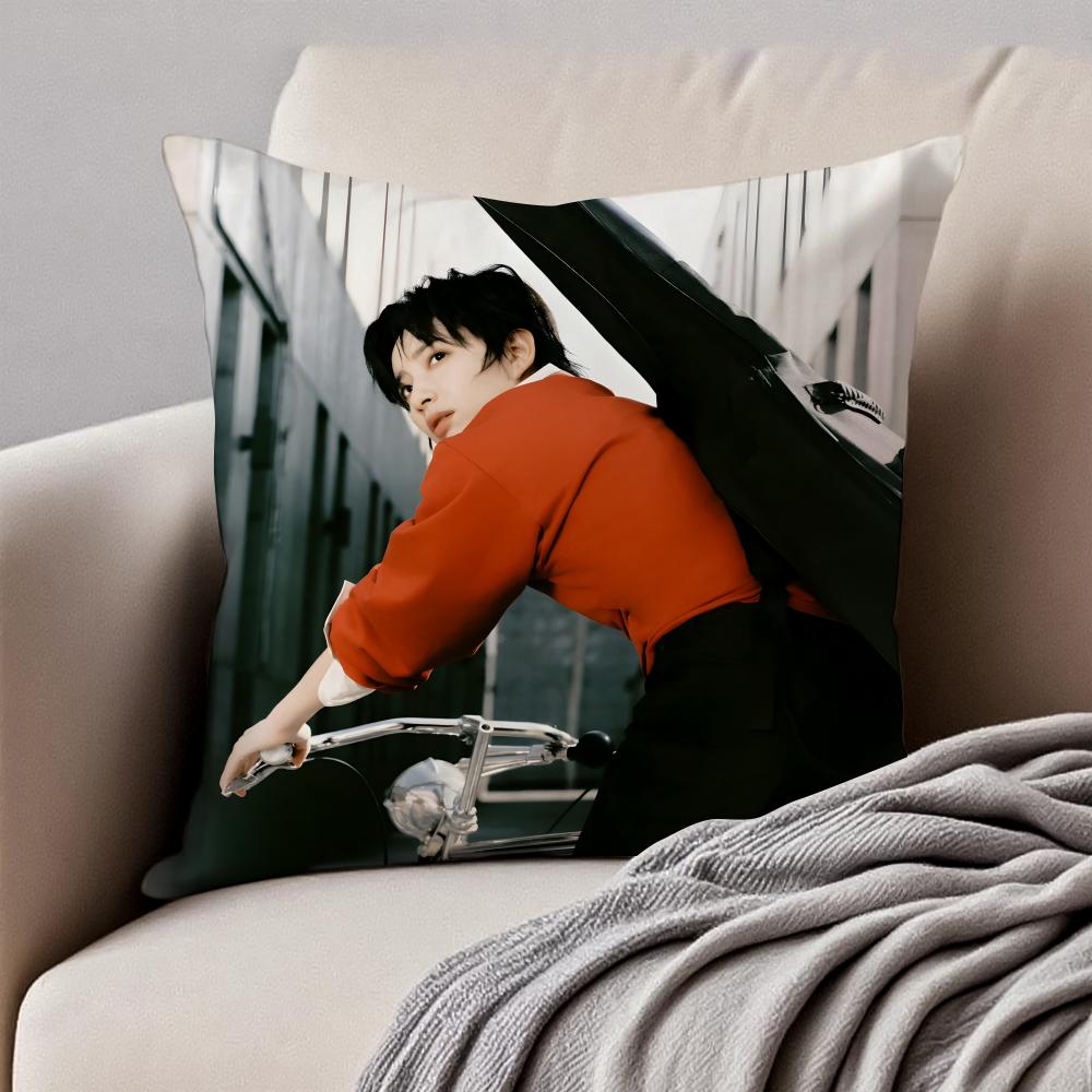 Popular fashionable Chinese singer DDanyLee Cushion Cover Pillowcase Antidustmite Invisible Zipper Short Plush Sofa Cushion