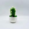 Artificial Cactus Simulated Green Plants Desktop Potted Indoor Decoration