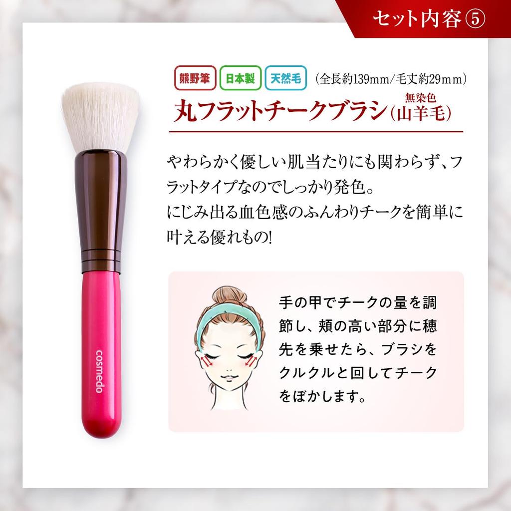 Takumi No Kumano Brush Makeup Brush Set Brush Case Starter Set Plus Silver Keshōfude Cosme-dō (5 Brushes) + S505-C04S