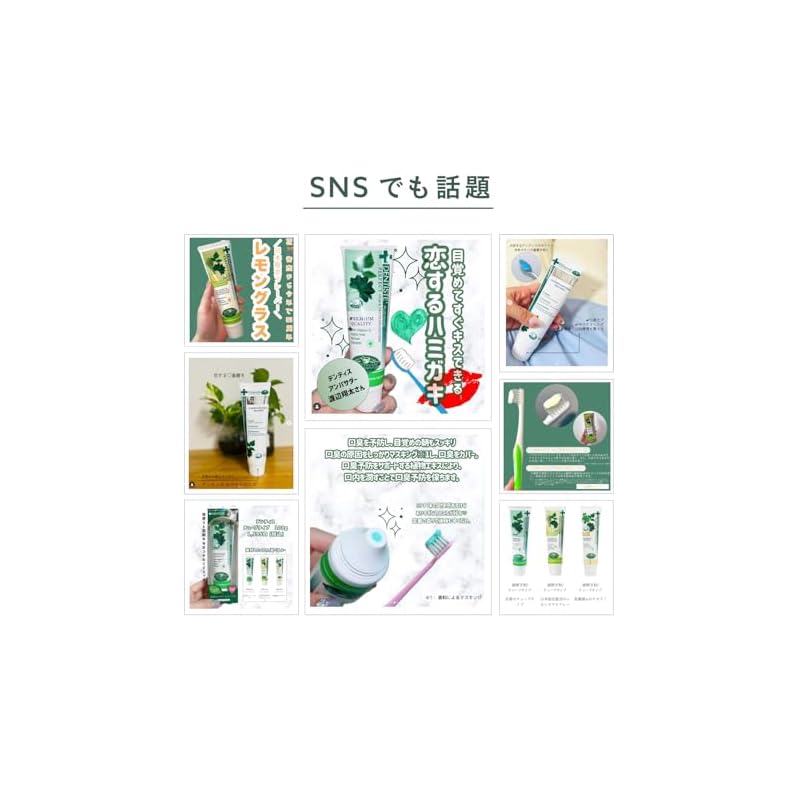 Dentiste Etiquette Paste Toothpaste 100g Mint