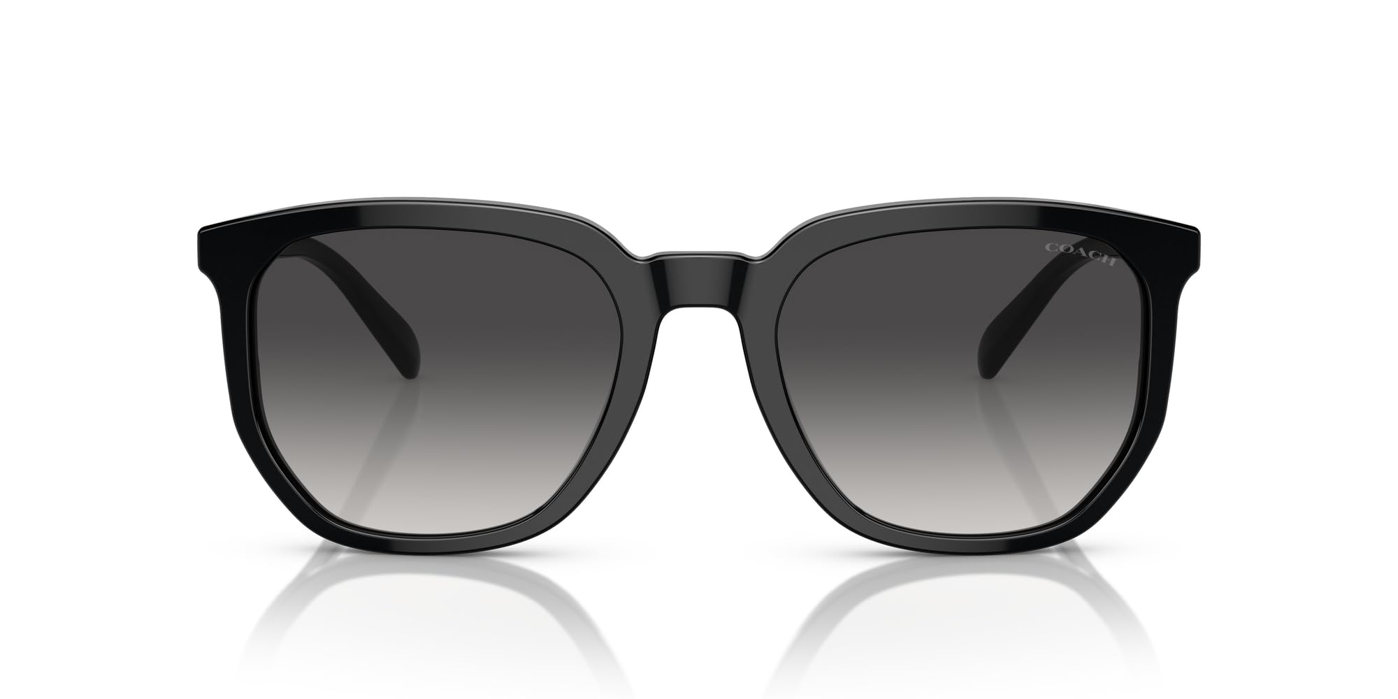 

Sunglasses HC8384U CL911 BLACK 55 [Coach] чорний