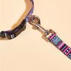 Classic Multicolor Dog Leash Nylon Tribal Pattern Durable Cat Pet Leashes for Small Medium Large Dogs Puppy Lead 120cm Long for Walking