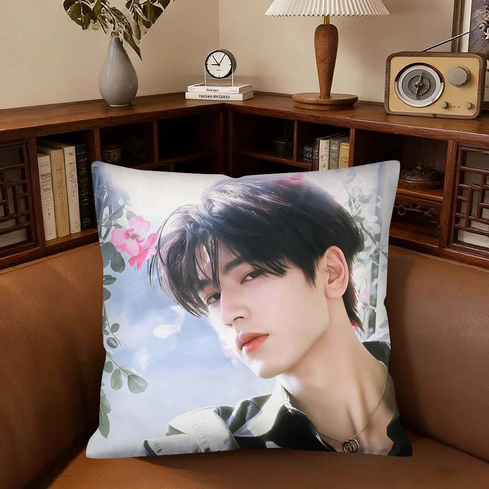 Actor Zhang Linghe Pillow Case Fashion Square Pillowcase Bedroom Sofa Room Ins Decoration Leisure