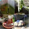 Mini Solar Panel Water Pump DC Brushless DIY Solar Fountain Pump 200L/H 4 Nozzles Solar Water Fountain Outdoor