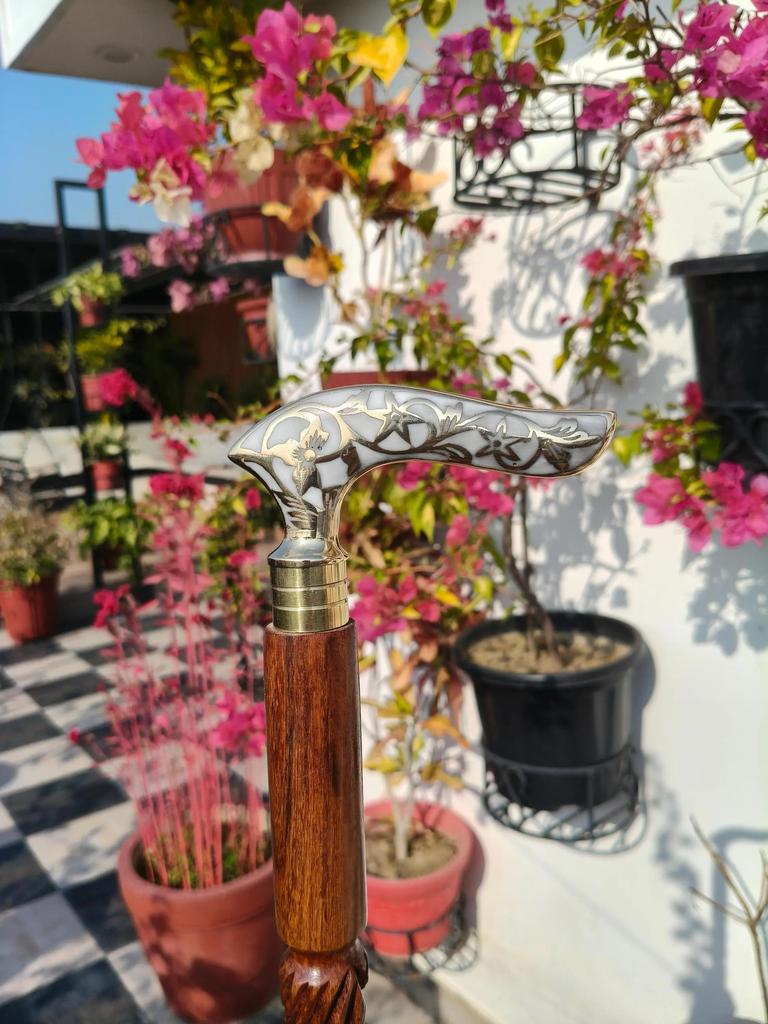 Walking Stick Brass Enamel Handle, Carved Rosewood Cane Home Decor