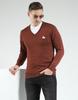 Monte Carlo Men's Wool Full Sleeves Sweater | V-Neck | Regular Fit| Solid Pattern |Warm & Stylish Pullover Cardigan for Men