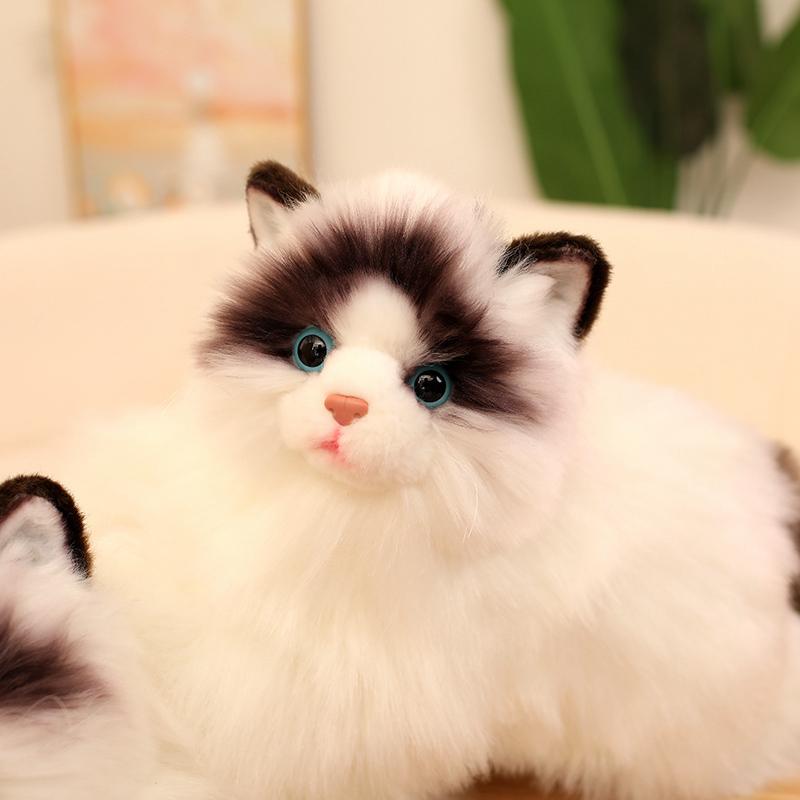 Søt Simulering Plysj Klutdukke Katteleke Myk Tegneserie Kosedyr Fluffy Hjemmedekor Gaver Til Jente