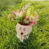 Cartoon Succulent Flowerpot Resin Plant Cultivation Pot Cute Plant Growing Container  Gardening