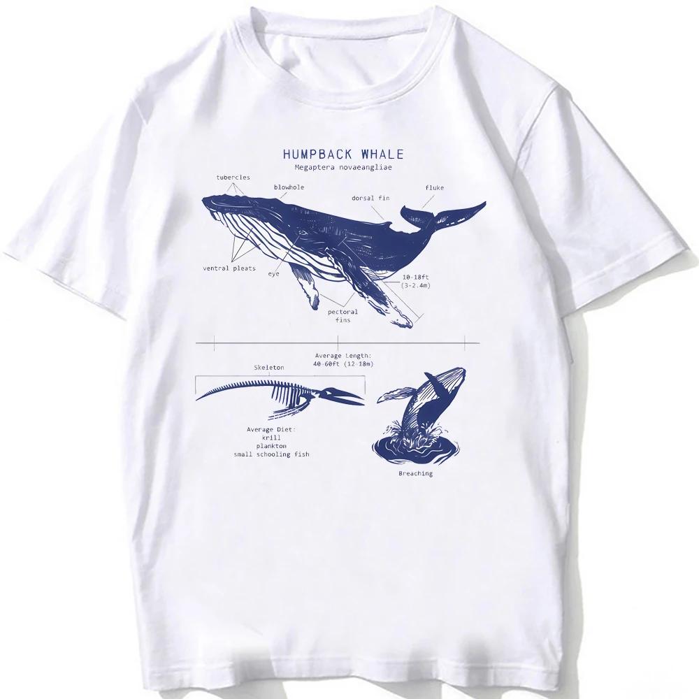 Whale Shark Anatomy Vintage T-Shirt Unisex Men Short Sleeve Hip Hop Beach Animal Style Boy Casual White Tees Funny