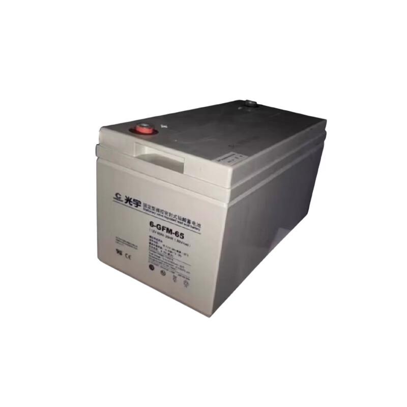 COSLIGHT 12V 65AH GFM Series Storage Battery