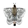 Costume și Accesorii – Costume de carnaval pentru femei