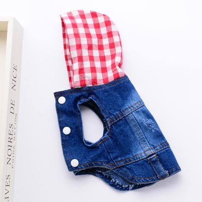 Roupa e sapatos – Camisolas com capuz para cães