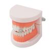 Gold Color Hip Hop Teeth Grillz Copper Top & Bottom Grillz New Tooth Caps  Unisex