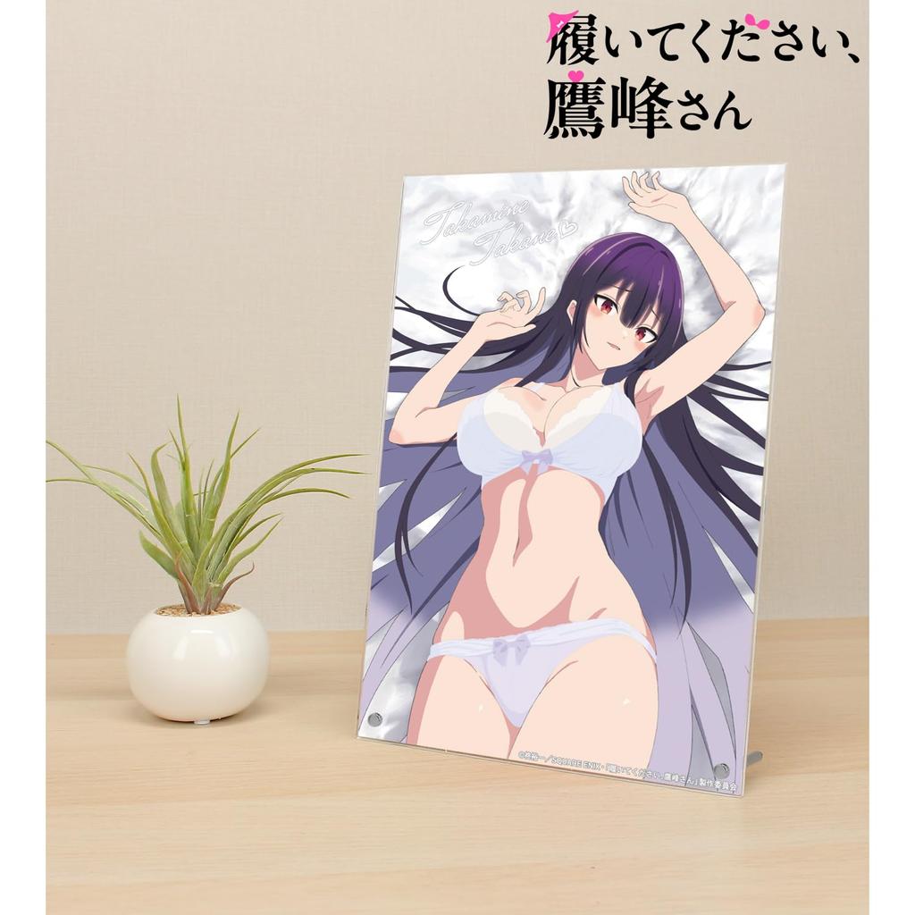 TV anime Wear Takamine Takamine A4 acrylic panel "Please It, Takamine-san"