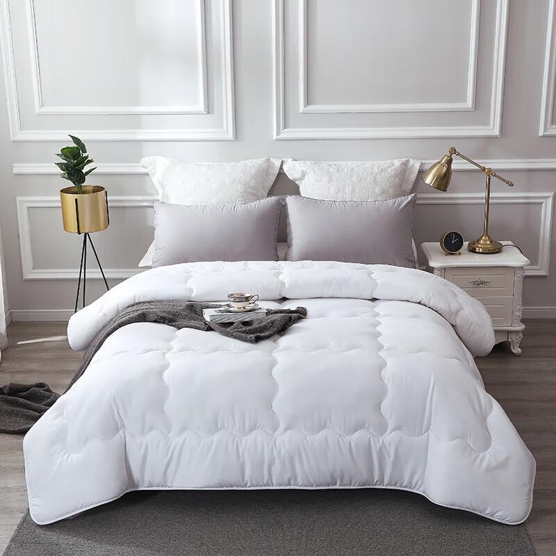 

Homeshine Breathable Spring/Autumn Quilt