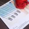 Japanisches und koreanisches Light Luxury Design Silber T Fang Hao Halskette für Damen Ins Trendy Nische und vielseitige Schlüsselbeinkette High End Halskette