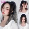 WTB Synthetic Long Curly Hair Gradient Wig Ponytail Female High Ponytail Small Grab Clip Braid Fluffy Curly Hair Fake Ponytail