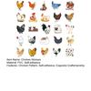 50Pcs Cartoon Chicken Stickers Cute Waterproof Self-adhesive Cute Animal Decals DIY Car Skateboard Laptop Motorcycle Graffiti Stickers