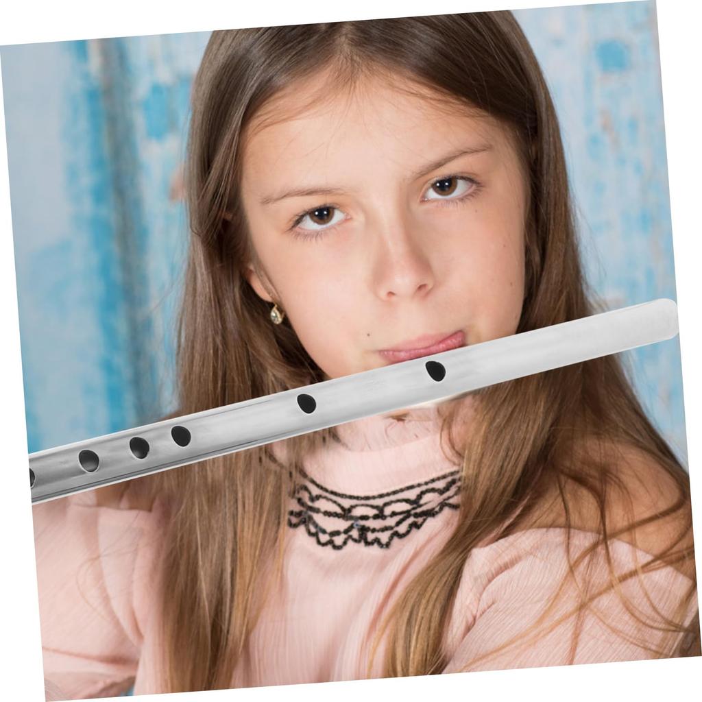 UPKOCH Sprickbeständig, Skadebeständig Stål Bärbar Flöjt, Lätt och Hållbar, Nybörjarflöjt med Precisionshål för Exakt Tonhöjd