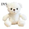 Elegant Gift Bag Stuffed Bear Personalized Graduation Gifts 2026 for Her, Cute Teddy with Embroidered Gown Award And Cap, Soft Plush Mascot