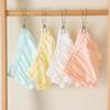 Baby Girl Summer Cotton Briefs