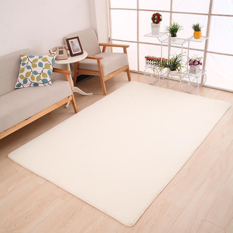 Thickened Coral Velvet Carpet Floor Mat Door Mat Door Entry Living Room Bedroom Bathroom Toilet Kitchen Absorbent Foot Mat