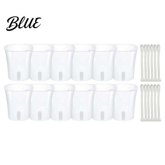 Mini Planters for Alocasia Corms Self Watering Plant Pots Indoor Plants Small with Water Level Indicator Clear Flower Windowsill Inner Cup Drainage
