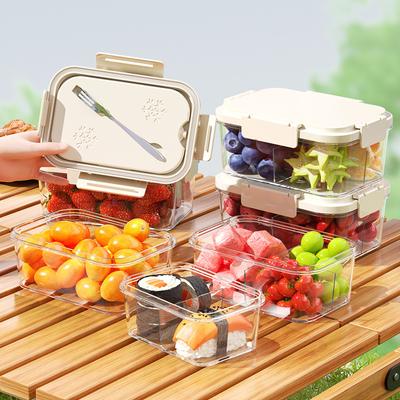Buiten Fruit Gekoeld en Vershouddozen Lunchboxen Plastic Verzegelde Dozen Voedselkwaliteit Huishoudelijke Koelkast Opbergdozen