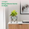 Pots for Plants, Plant Pots for Home Decoration, Succulent Pot, Indoor Planter Garden Decor Style: Sunlit Symphony
