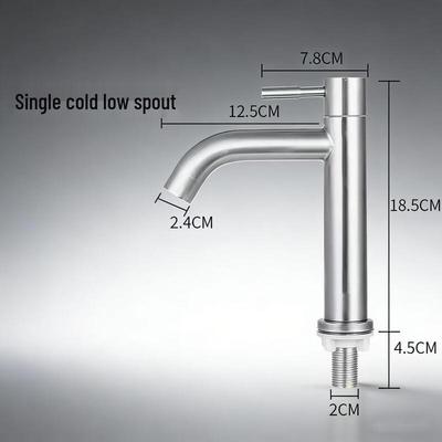 TLXT Brushed Stainless Steel Single Cold Basin Faucet