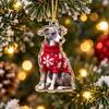 Christmas Tree Hanging Decorations Greyhound Advent Calendar 24 Days Countdown 2D Day Flat Acrylic Dog Ornaments for Holiday Decoration Calendar