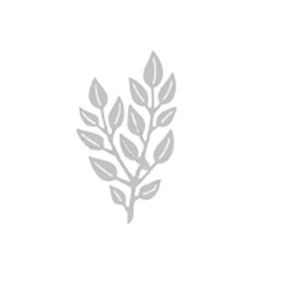 

Дерево Лист Резка Die Трафарет DIY Скрапбукинг Тиснение Альбом Бумажная Карта Ремесло Leaf*