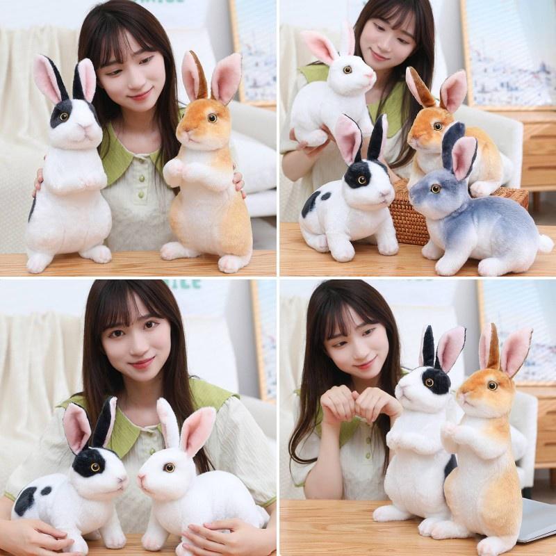 Entzückendes Plüsch-Braun-Weißes Hasenspielzeug zum Kuscheln und Schmusen, 24cm