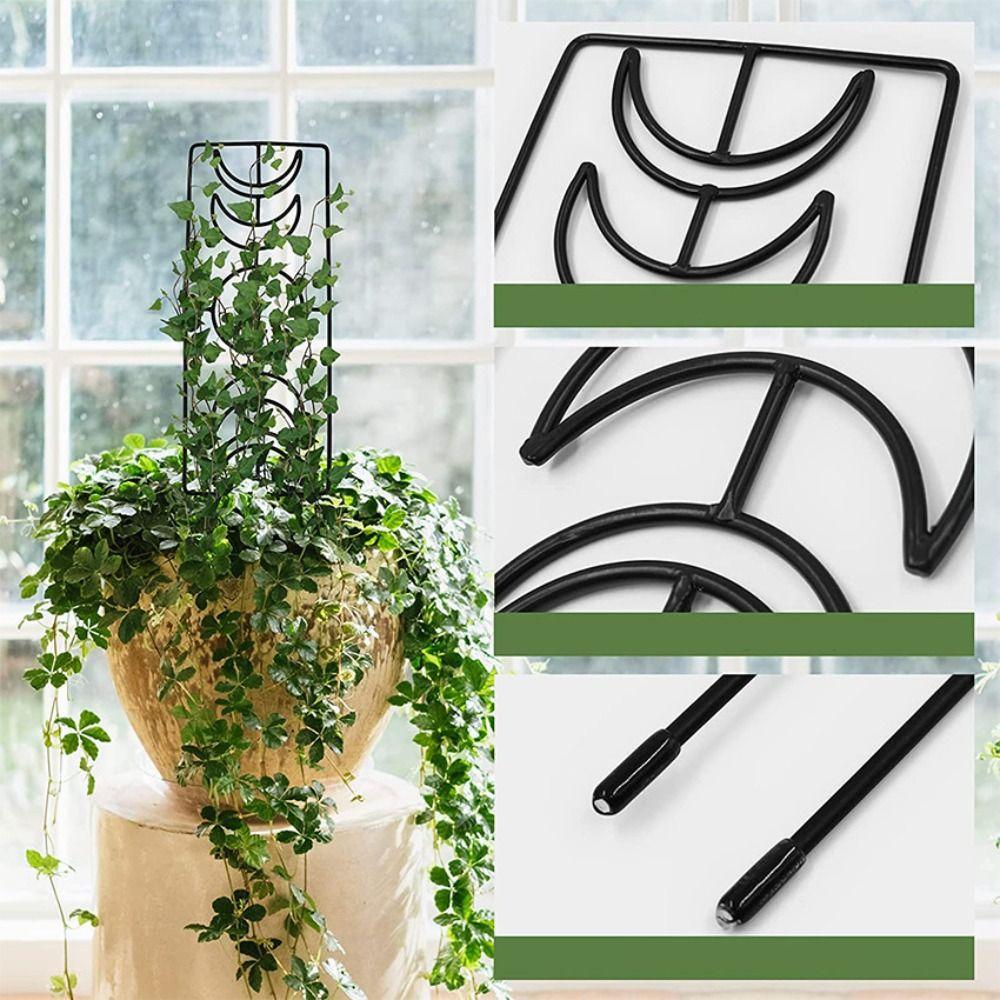 Durable Climbing Vine Frame Iron Flowerpot Bracket Garden Supplies Plant Stand  Flower Screen