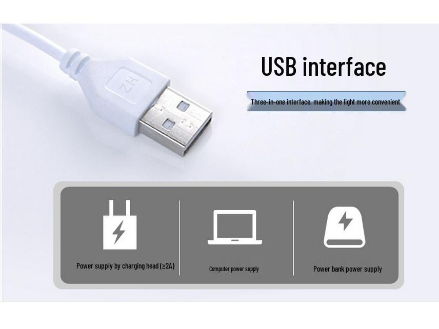 USB LED Clip-On Eye Protection Desk Lamp for Reading and Writing (Customizable)