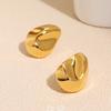 WANGS French Cold Wind Pleated Earrings Niche Fashion Light Luxury High-end Stud Earrings Autumn and Winter Gold Silver