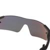 Sunglasses Purple Gold Free Size [AirFly] AF-301 C-3 Frame Black, Lens Mirror,