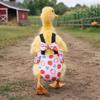 Adjustable Chicken Physiological Pants Elastic Band Poultry Nappy Poultry Costume  Pet Chicken