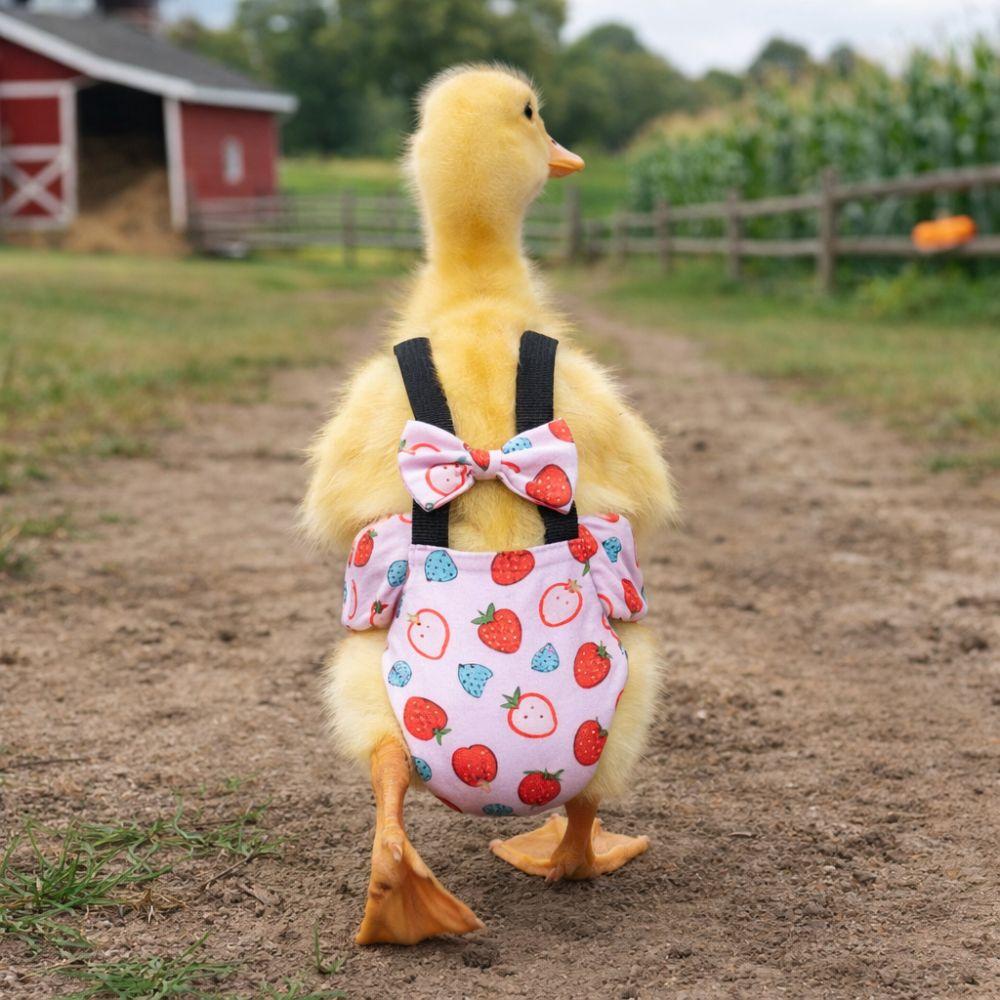 Adjustable Chicken Physiological Pants Elastic Band Poultry Nappy Poultry Costume  Pet Chicken