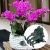 200Pcs Beautiful Rose Shape Plant Clip Garden Flower Stems Support Clips Fixing Tool AccessoryGreen