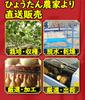 Gourd Water Interior Outdoor Portable Water Whiskey Profit.relaxed Bottle, Cosplay, Halloween, Decoration, Amulet, Bottle, Beeswax-Resistant,