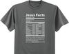 Christian Shirt Jesus Facts Mens Graphic Tees