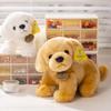 Simulation Golden Retriever Stehende Tierfigur Puppen Superweiches Kissen Cartoon Schlafende Plüschtiere Kissen Geburtstagsgeschenke
