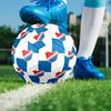 Fc Banik Ostrava Crest Size 5 Soccer Balls, High-Quality, Anti-Slip, Protective Football, a Unique Gift Suitable for Birthdays, Christmas